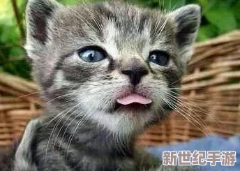 精通球球大作战：揭秘高效推刺与精准吐刺策略技巧，提升竞技实力秘籍分享